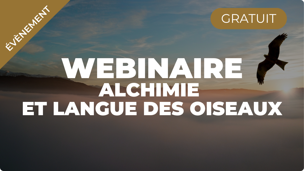 Webinaire – Alchimie et Langue des Oiseaux