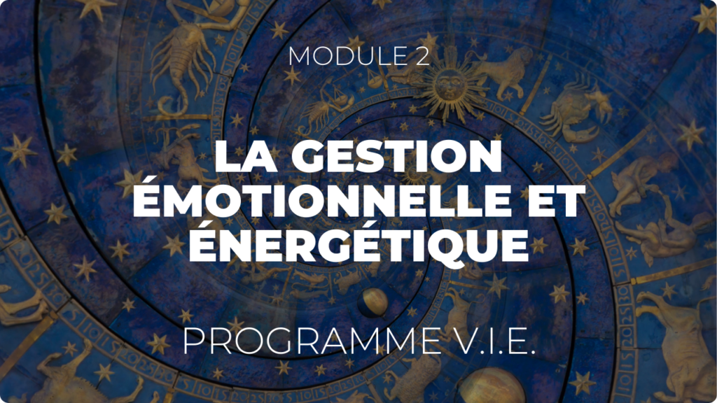 Vignette Programme VIE Module 2 - paysage