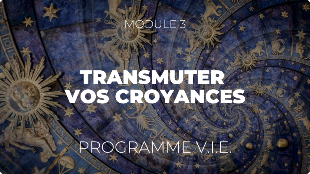 Vignette Programme VIE Module 3 - paysage