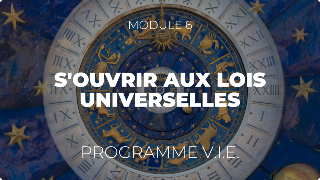 Vignette Programme VIE Module 6 - paysage